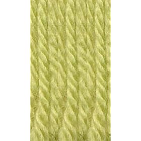 Nashua Creative Focus Superwash Spring Green 027 Yarn