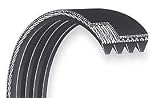 Dayton 3X707 Poly V Belt, Rma 410j6