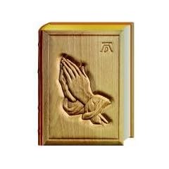 Die Original D�rer-Holzbibel von BILD