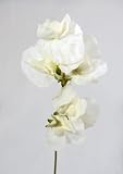 from JustArtificial Artificial Silk Sweet Peas Single Stem - 40cm, White