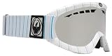 Dragon DXS 08 Snowboard Goggles - White Pinstripe Frame / Ion Lens