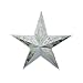 Hanging Star Light in Silver