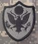 Personnel DOD ACU Patch - Foliage Green