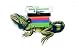 Four Paws Safety Iguana Leash and Harness