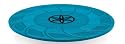 Gaiam Balance Training System)