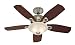 Hunter 28699 Auberville 44-Inch Single Light 5-Blade Ceiling Fan, Brushed Nickel with 5 Stained Oak/ Roasted Walnut Blades and Swirled Marble Glass Light Bowl