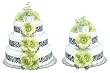 Bloomers Green Daisies With Zebra Diaper Cake-3 Tier