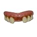 Billy-Bob Teeth - Aviator