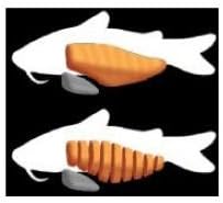 Heartland Catfish Irregular Fillet, 15 Pound -- 1 each.