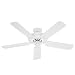 Hunter 23566 Sea Air 52-Inch 5 White Plastic Blades Ceiling Fan, White