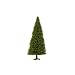 Evergreen Tree 5