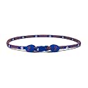 Florida Gators NCAA Titanium Necklace