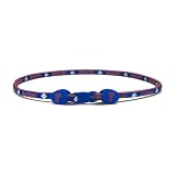 Sporting Goods : Florida Gators NCAA Titanuim Necklace