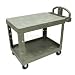 31UFJdkpVbL. SL75  Seville Classics OFF42569 Heavy Duty Office Utility File Cart, Chrome