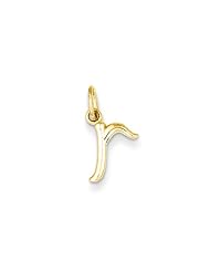 The Claire Lower Case Script Initial R Pendant in 14K Yellow Gold