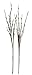 Hi-Line Gift LtdFloral Lights Lighted Willow Branch (set of 2 Branches) with 60 bulbs, 40 inches (Battery operated)