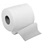 Paper, Toilet, 2ply, Gtb, 500/sheets