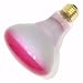 Industrial Performance 96531 65BR30/PK 130V Colored Flood Light Bulb