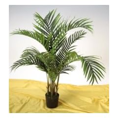 k.A. Dekorationspflanze Palma Areca 120 cm