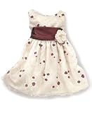 Sweet Heart Rose Little Girl Floral Embroidered Dress
