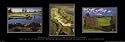 The Attraction of Golf by Unknown. PLAQUE MOUNTED. 31.50 inches width by 8.93 inches height. Highest Quality Art Poster Print