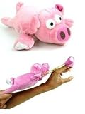 "Wally" the Flying Pig