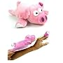 "Wally" the Flying Pig