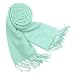 Forzieri Solid Pashmina & Silk Fringed Shawl Aqua