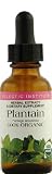 Eclectic Institute - Plantain, 1 oz liquid