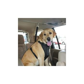Set A Shopping Price Drop Alert For Kurgo Automobile Zip-Line, Large (Dogs 50 to 80 Pounds)
