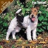 2008 Fox Terrier 2008 16 Month Wall Calendar **IN STOCK NOW**