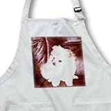 Dogs Pomeranian - White Pomeranian - Aprons