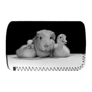 Guinea Pig 1985