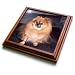 Pomeranian Dog - 8x8 Trivet With 6x6 Ceramic Tile