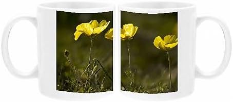 Photo Mug of Turban buttercups, yellow form