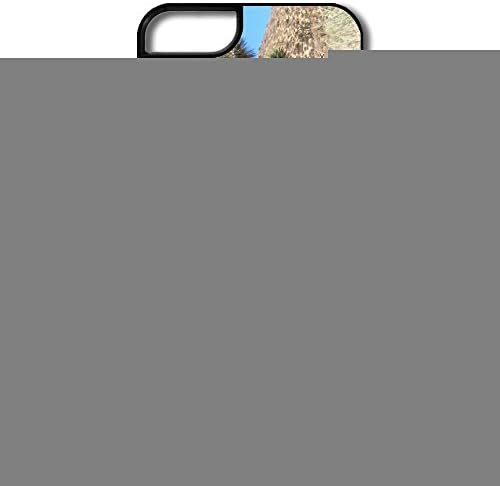Flycro Custom Gifts Joshua Tree National Park Case For Iphone 5/5s