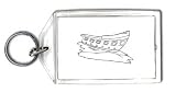 Keychain with transport, 