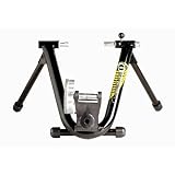 CycleOps Wind Indoor Bicycle Trainer