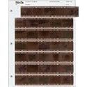 Archival 35mm Size Negative Pages Holds Seven Strips of Five Frames, Pack of 100