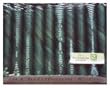 Green Beeswax Birthday Candles for Birthday Ring