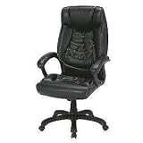 �G�O�[�O�e�B�u�`�F�A(�I�t) PL-101H(BK)