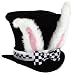 Search: Alice in Wonderland White Rabbit Topper Hat Child Halloween Costume Accessory
