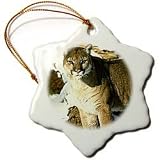 Wild animals - Cougar - Ornaments