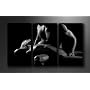Bild auf Leinwand Frau 160 x 90 cm 3 Teile Modell-Nr. XXL 1019 Bilder fertig gerahmt�mit Keilrahmen riesig. Ausf�hrung Kunstdruck als Wandbild mit Rahmen. G�nstiger als �lbild Gem�lde Poster Plakat mit Bilderrahmen