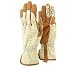 Ethel Printed Garden Gloves with Reinforced Fingertips