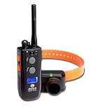 Dogtra Train and Beeper Collar