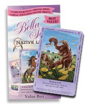 bella sara native lights value box cheap price