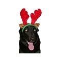 Elchgeweih Rentiergeweih f�r Hunde wm-101