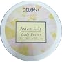 DELON Intense Moisturizing Body Butter with All Natural Extracts   6 Pack 2 of Each   Olive  Mango and Coconut   Gift Pack 6.9 oz  Total 41.9 oz