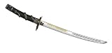 Review Gladius  / Gladius Wakizashi, AISI 420, Dragon